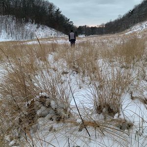 Meet your Posher, Elle